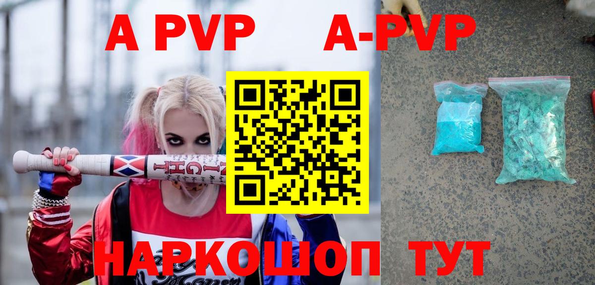 A PVP СК Элиста