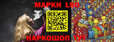спиды Кингисепп