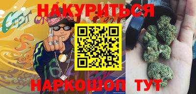 спиды Кингисепп
