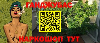 спиды Кингисепп