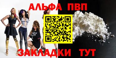 спиды Кингисепп