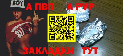 спиды Кингисепп